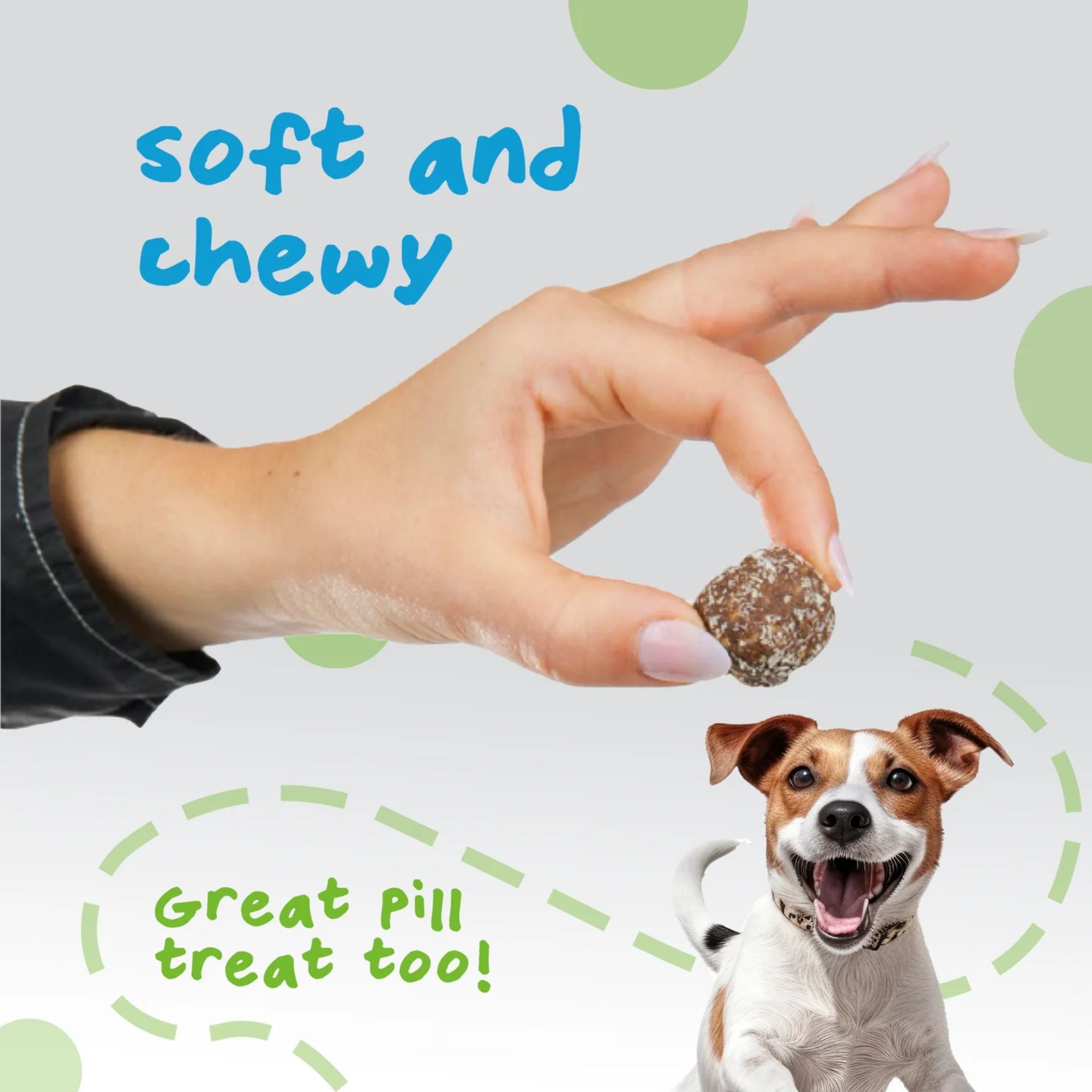 Pet Ervescence Treat-a-Balls Mango Chia, & Spinach Dog Treats