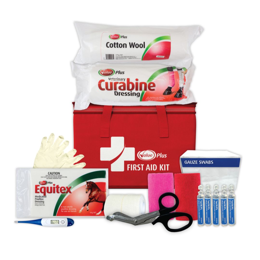 Value Plus First Aid Kit open case showing bandages, dressings and scissors