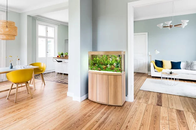 Juwel Vision LED Aquarium 180L