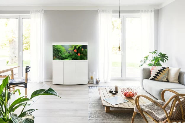 Juwel Vision LED Aquarium 260L