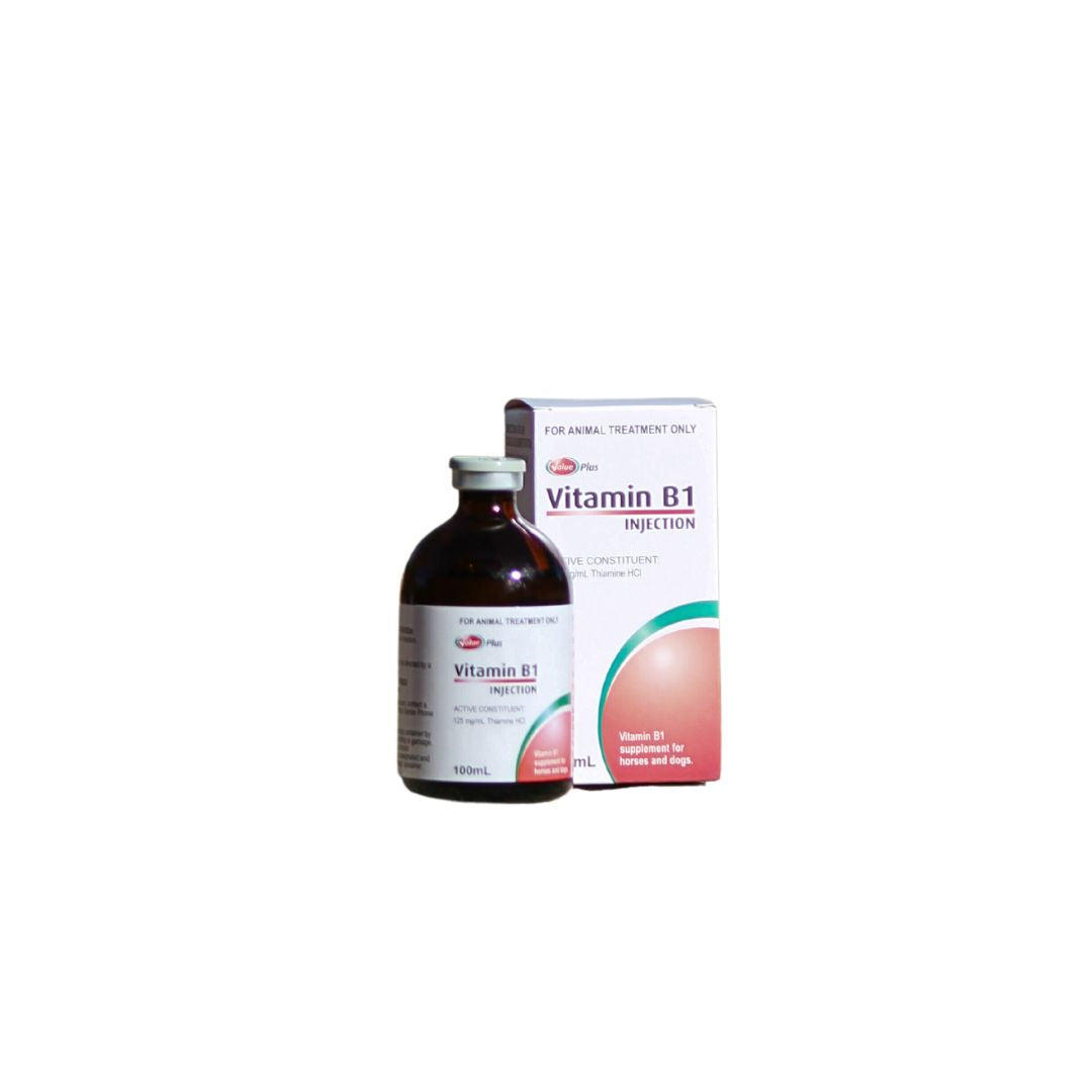Value Plus Vitamin B1 injection 100ml vial
