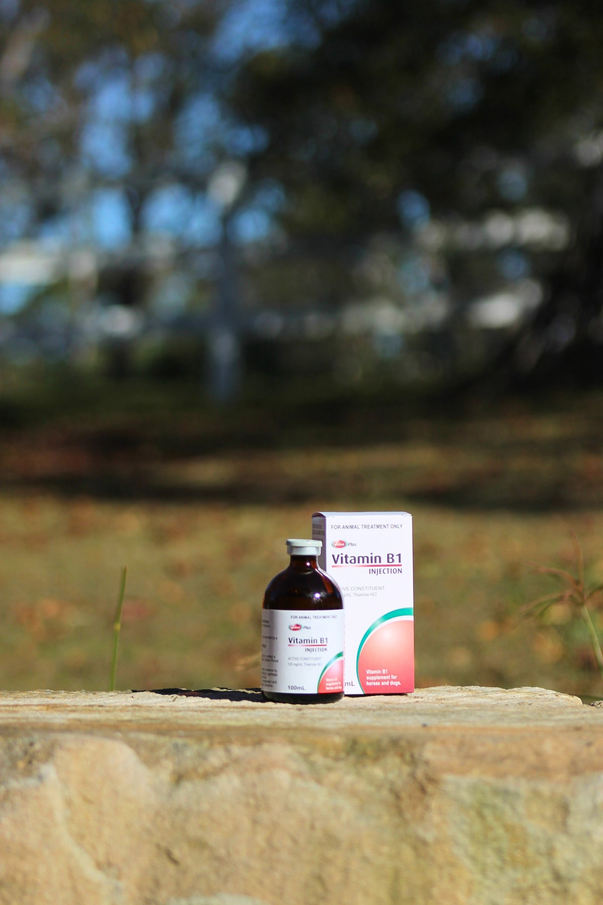 Value Plus Vitamin B1 injection carton with vial