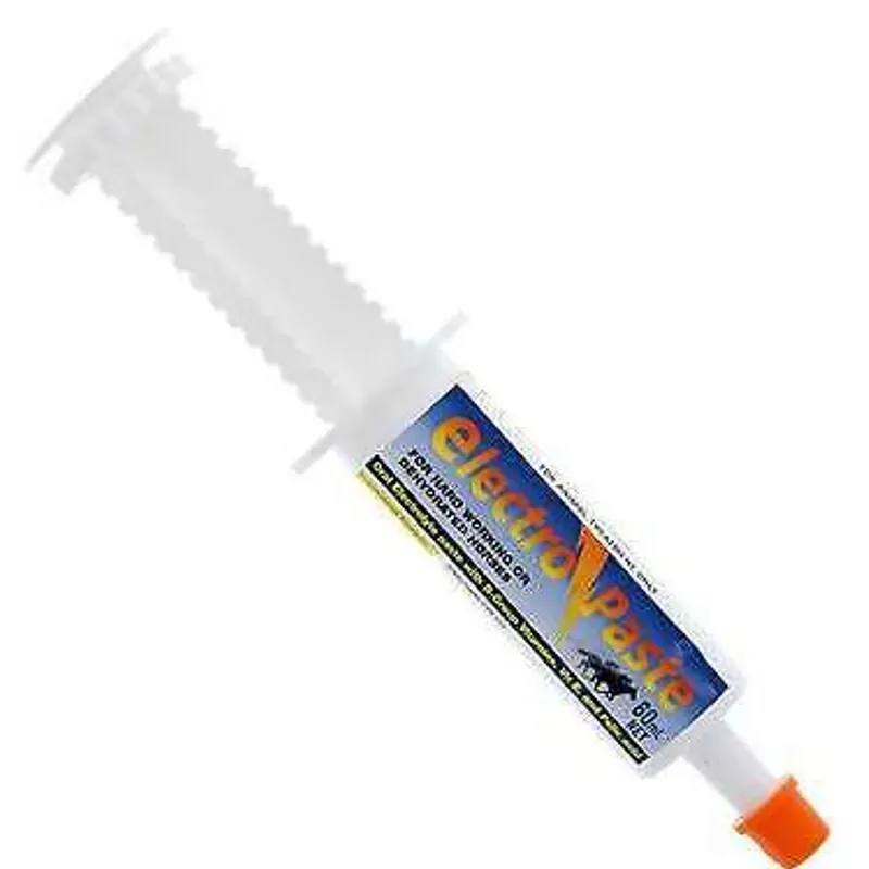 Ranvet Electro Paste for horses, 60ml oral syringe