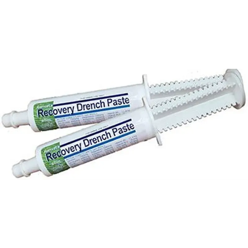 Ranvet Recovery-Aid Paste for horses, 80ml syringe