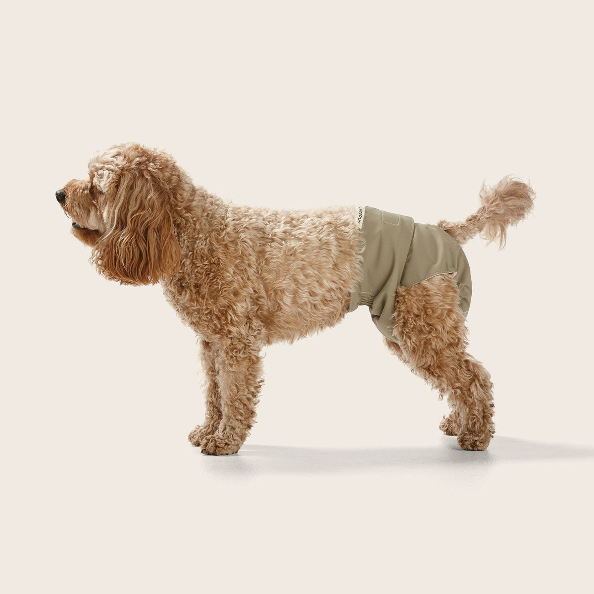 Snooza Washable Dog Nappy for female dogs in Steel, twin pack