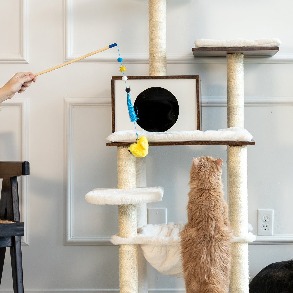 Cat playing with the ZippyClaws ZippyStick Bird wand toy