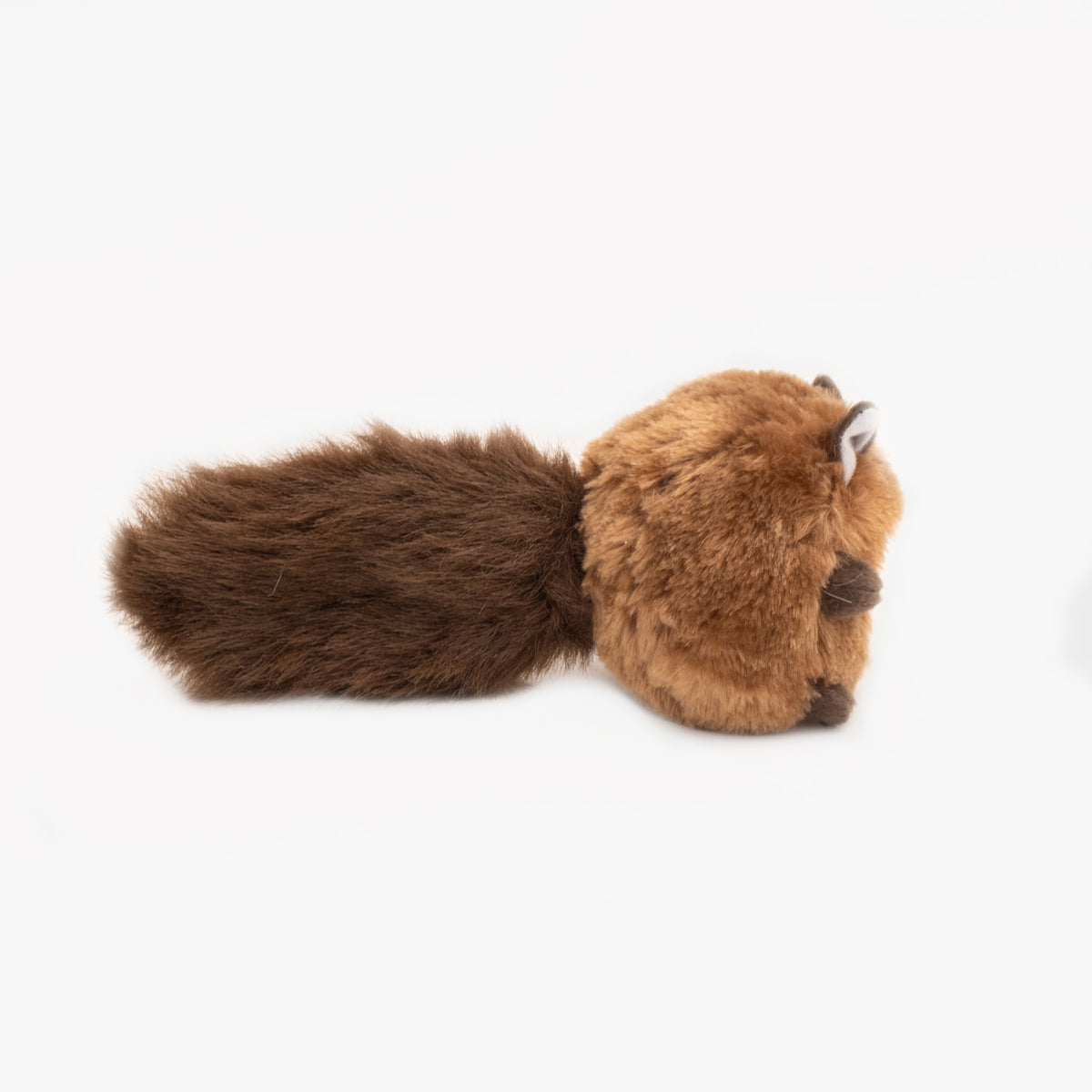 Dog carrying the Zippy Paws Bushy Throw Squirrel by the tail