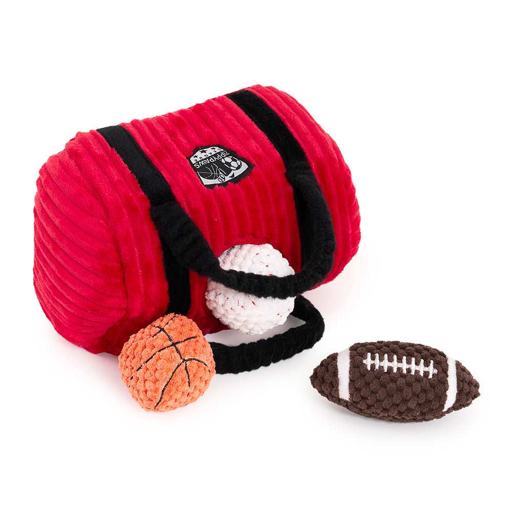 Red Gym Bag burrow shown at an angle with the balls beside it