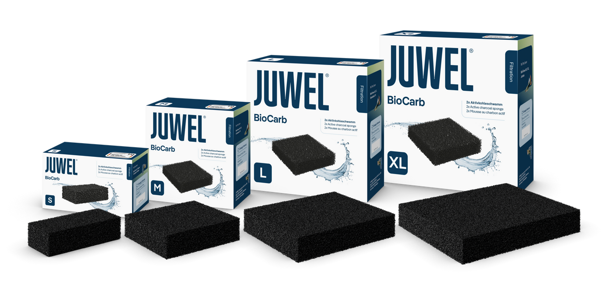 Juwel bioCarb carbon sponge in Medium, Large and XLarge packs