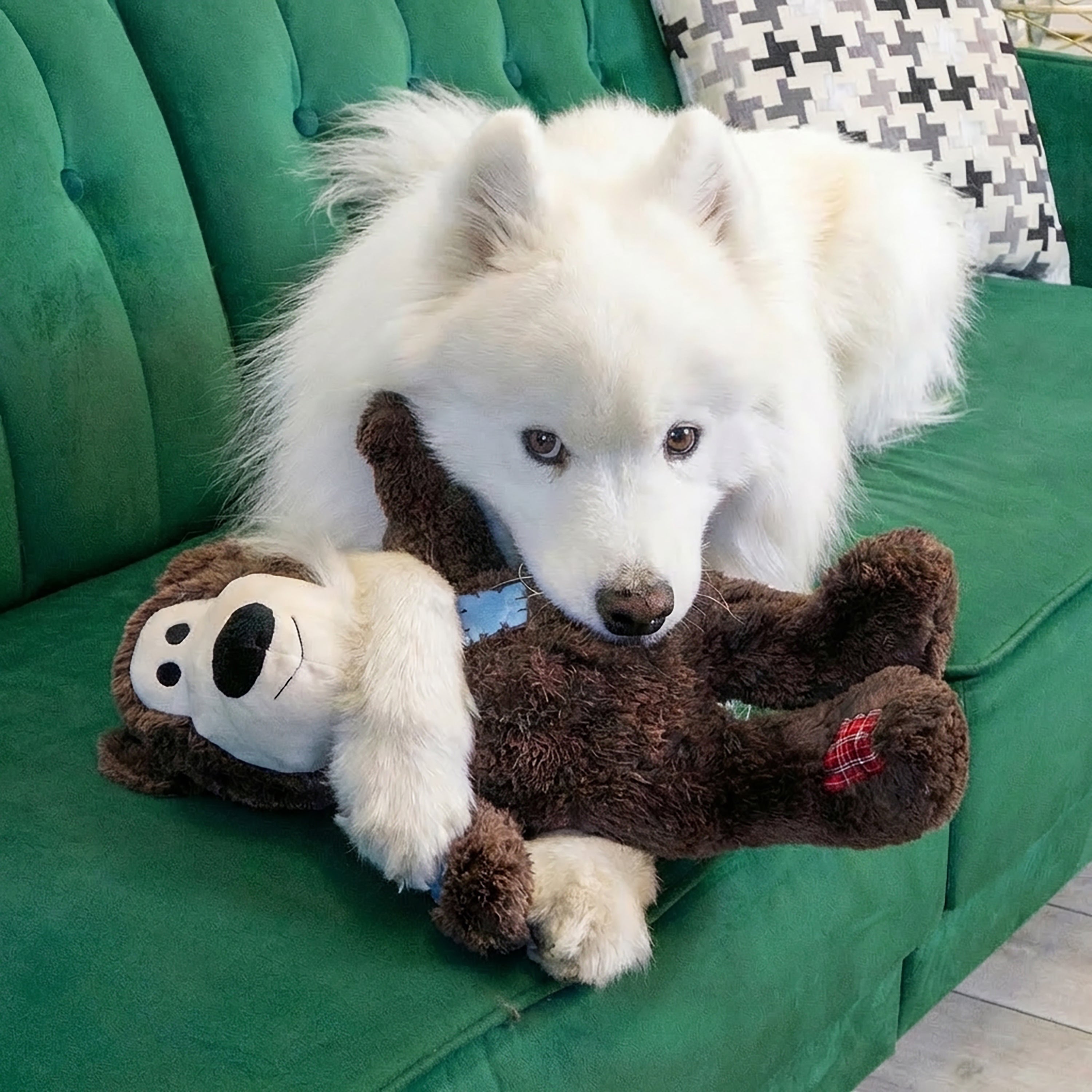 KONG Wild Knots Bear knotted rope plush dog toy, product photo 5