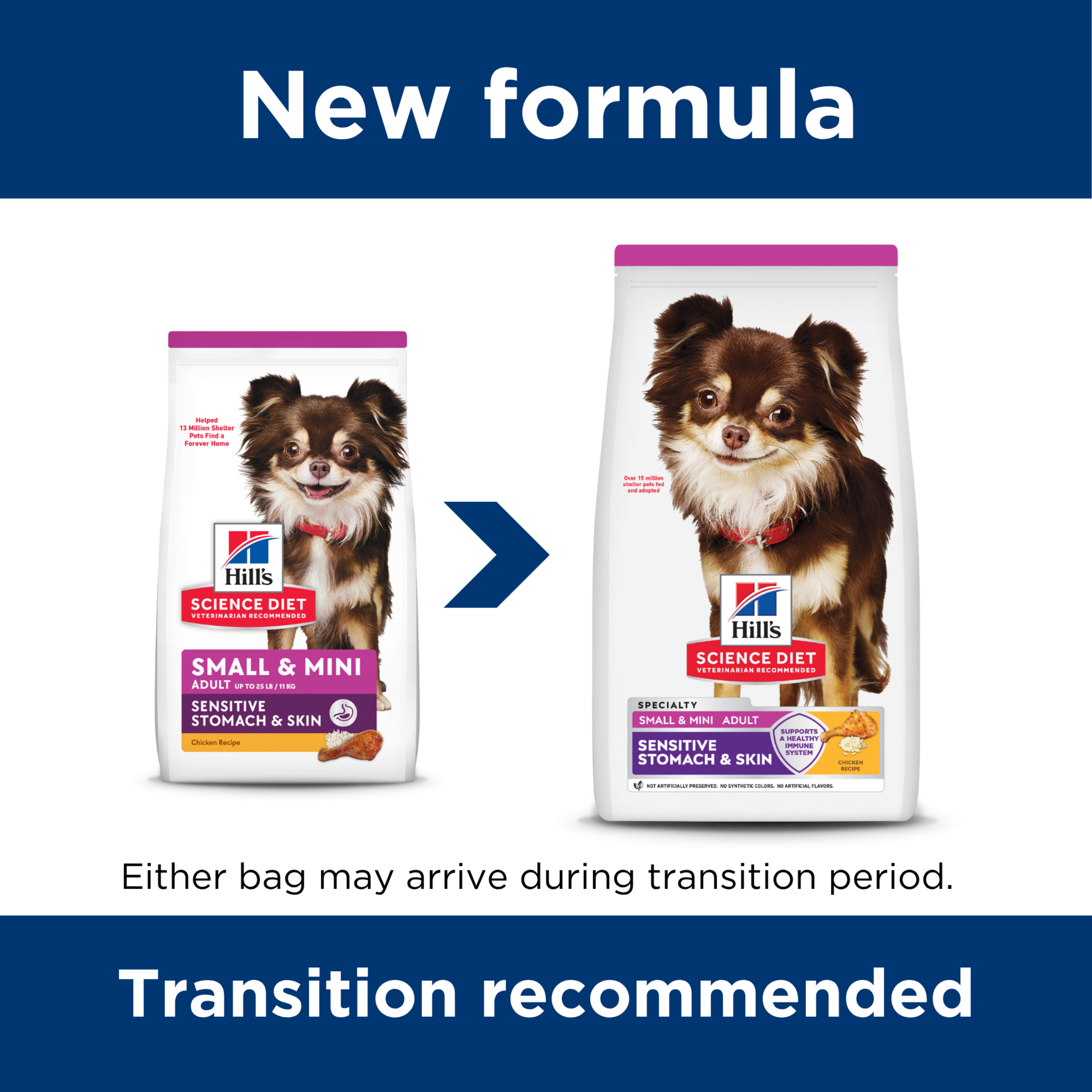 Hill's Science Diet Dry Dog Food Adult Sensitive Skin & Stomach Small & Mini product detail 1