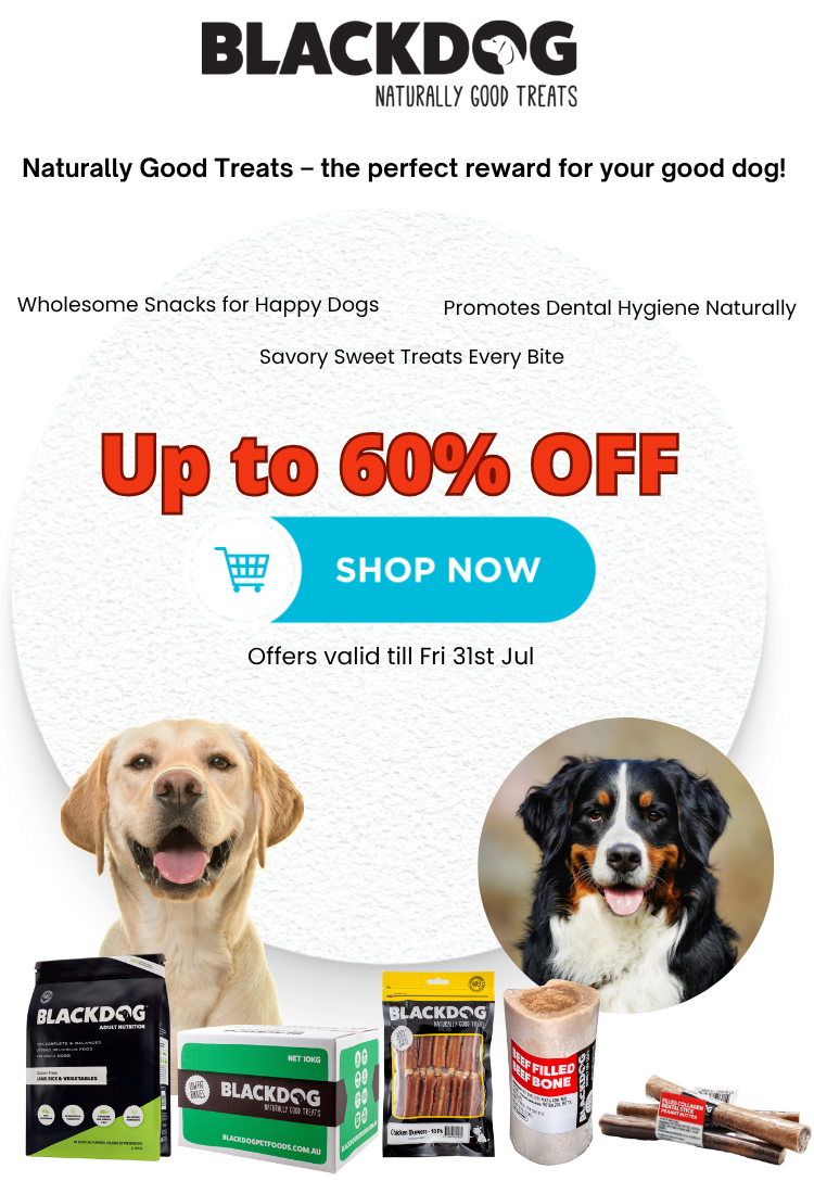 BlackDog mobile banner 60% OFF till Fri 31st Jul