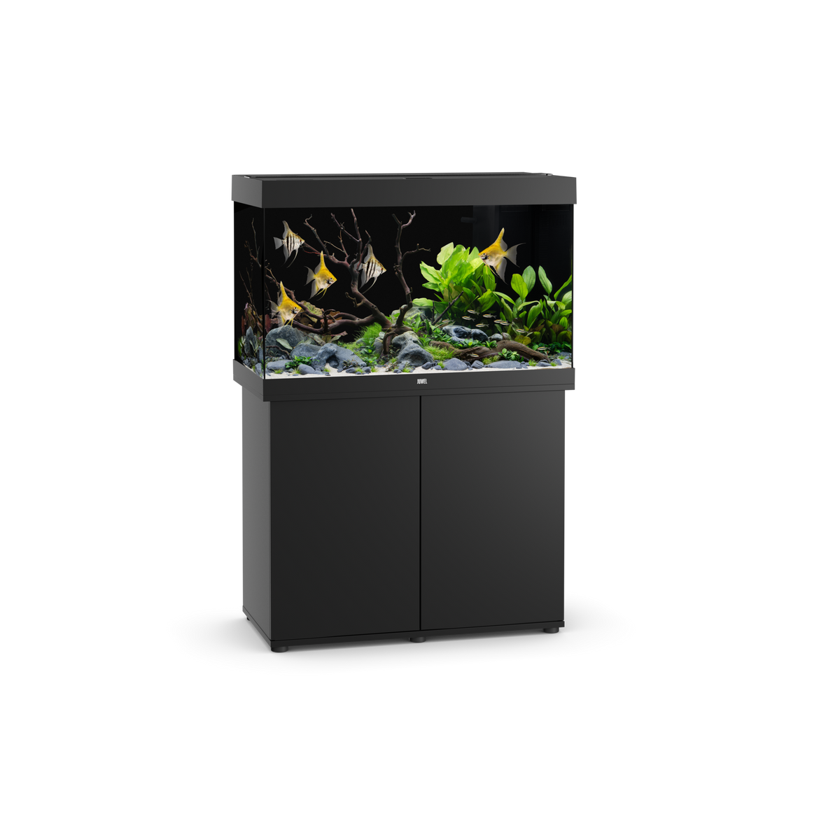 Juwel Rio 290 LED aquarium in black on its SBX cabinet