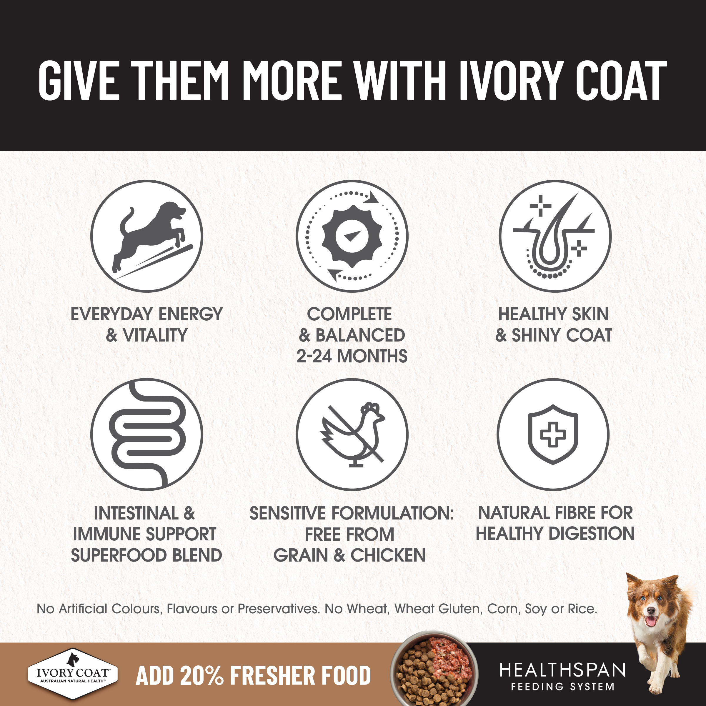 Ivory Coat Grain Free Puppy Large Breed Dry Dog Food Lamb product detail 1