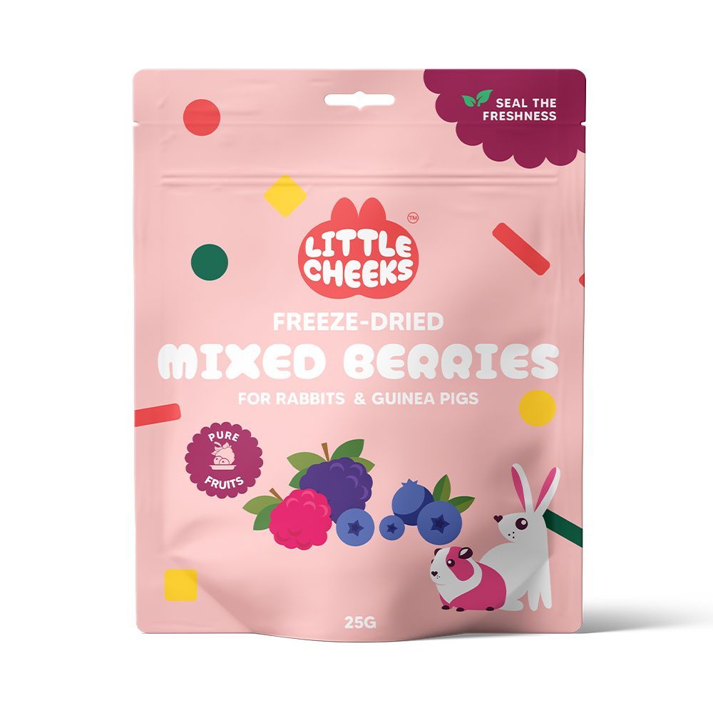 Little Cheeks Freeze Dried Mixed Berries 25g pouch, front of pack
