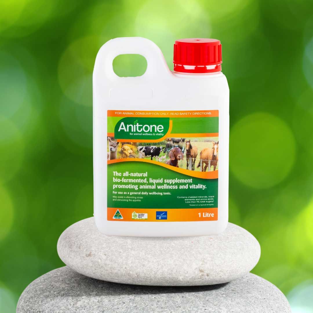 Anitone Wellness & Vitality liquid mineral supplement 1L bottle