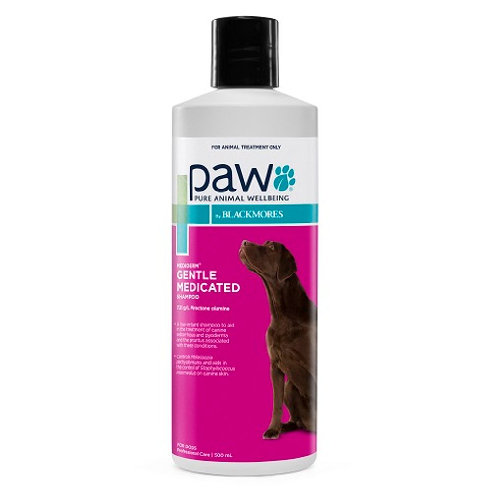 PAW MediDerm gentle medicated shampoo for dogs, 500ml pump bottle, front of pack