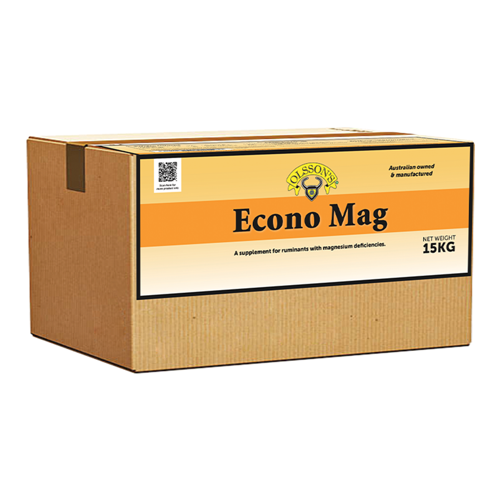 Olssons Economag Block 15kg