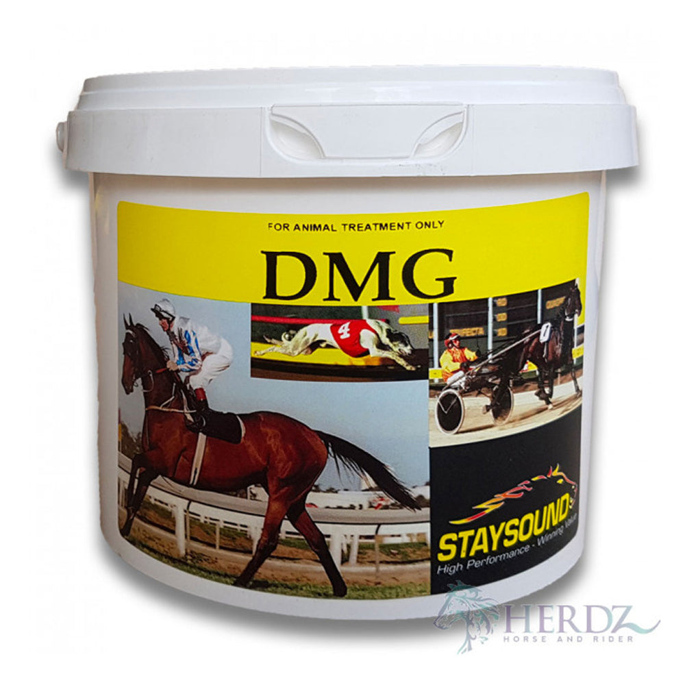 Stay Sound DMG energy and recovery supplement for horses, 1.5kg tub