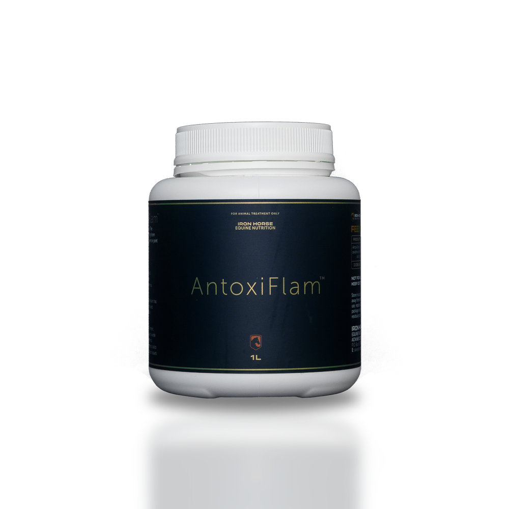 Iron Horse Equine Nutrition AntoxiFlam antioxidant supplement for horses, 1 litre bottle