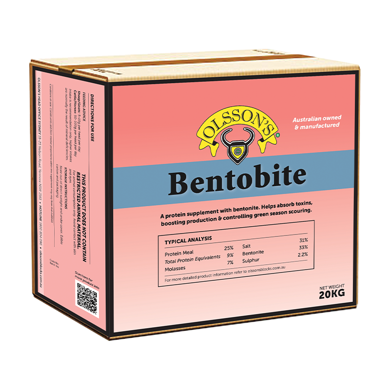 Olssons Bentobite Block 20kg