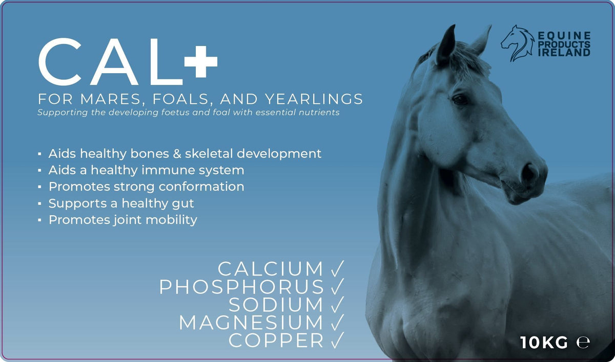 Equine Products Ireland Cal + Broodmare & Young Horse 10kg tub