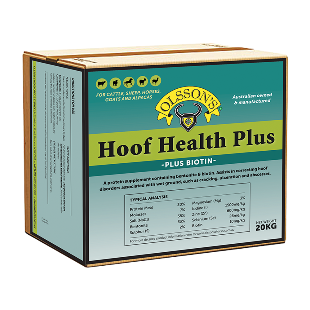 Olssons Hoof Health Plus Block 20kg
