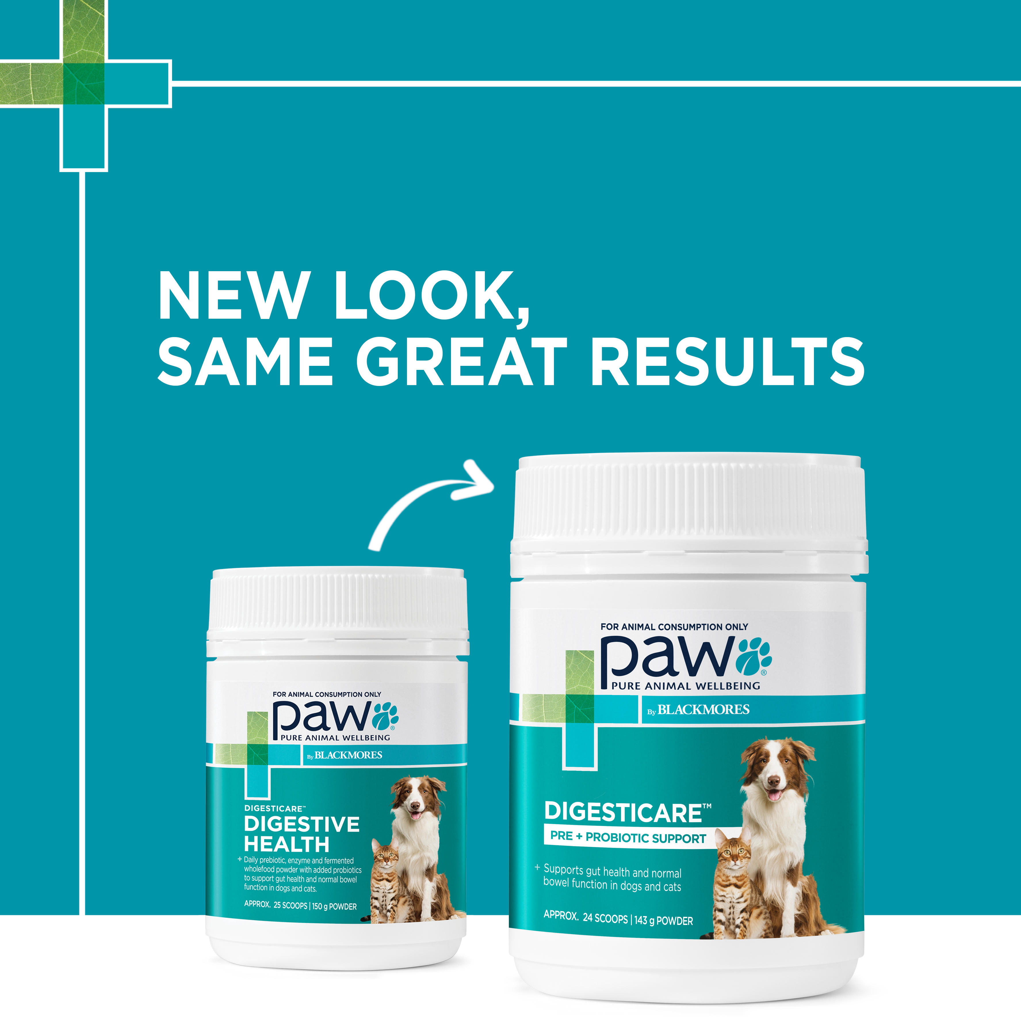 Paw By Blackmores DigesticCare for Cats and Dogs
