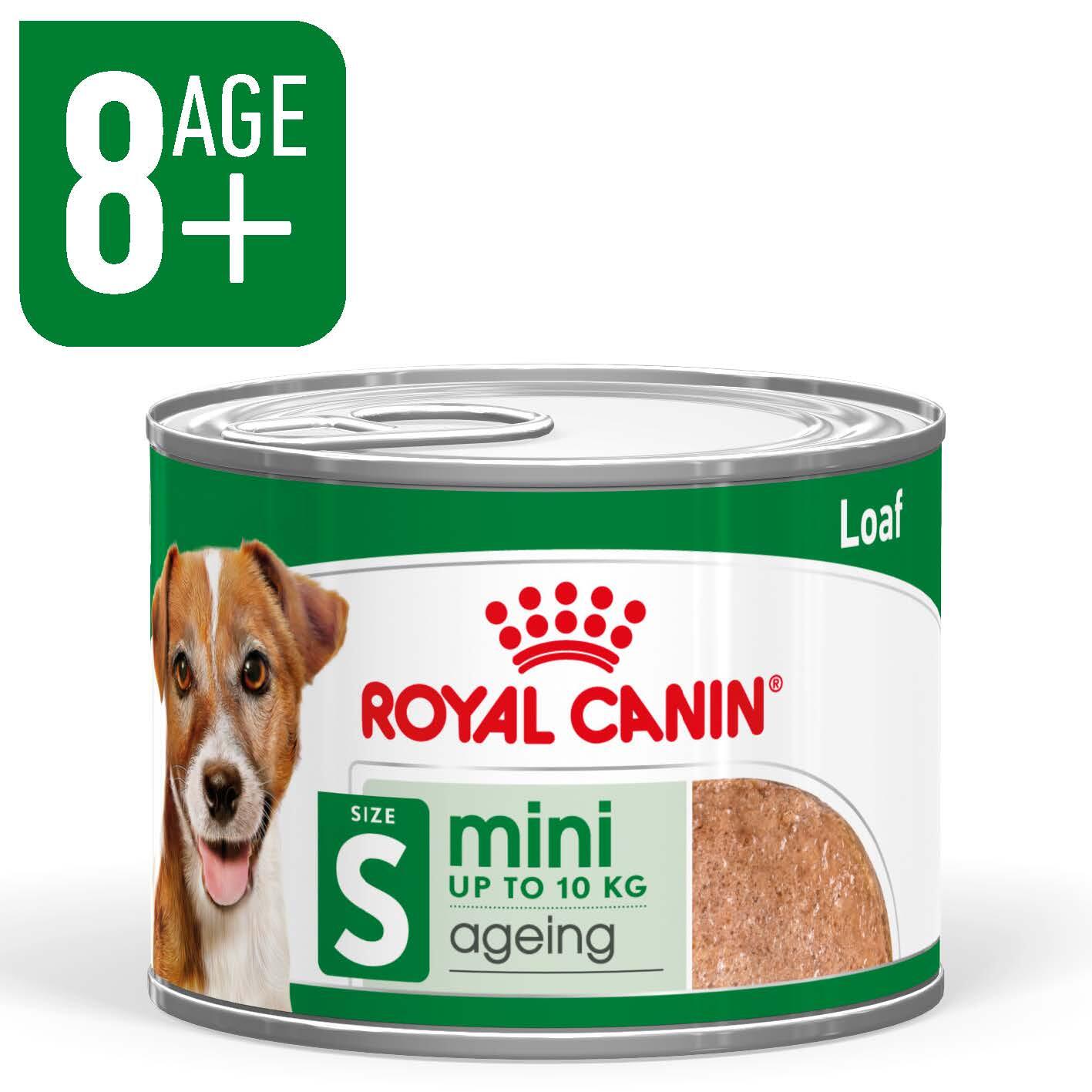 Royal Canin Mini Ageing 8+ Loaf texture close up