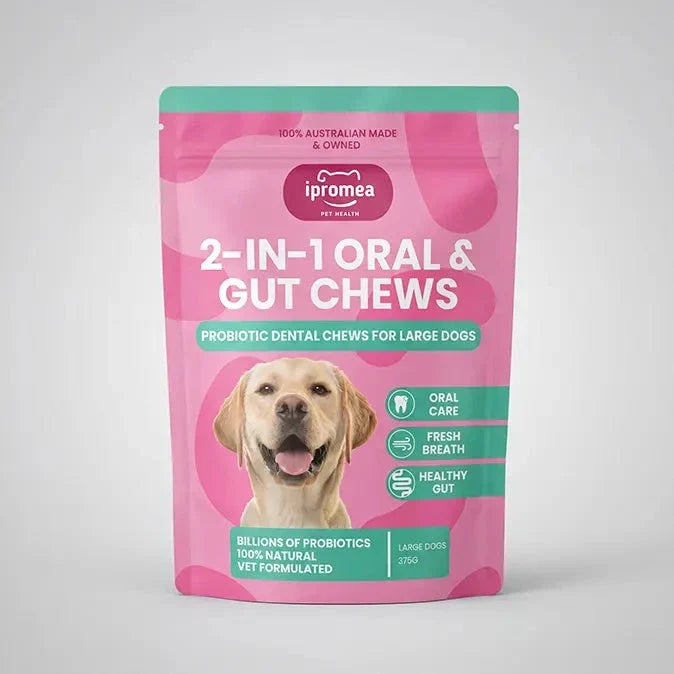 Ipromea 2 in 1 Oral & Gut Chews for Dogs - image 2