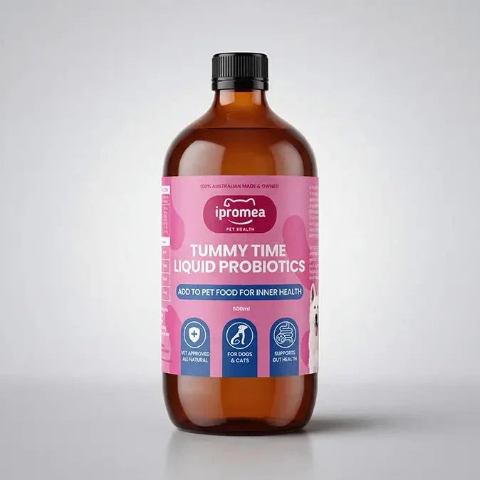 Ipromea Tummy Time Liquid Probiotics for Dogs & Cats