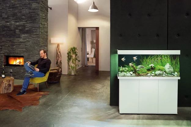 Juwel RIO LED Aquarium 240L