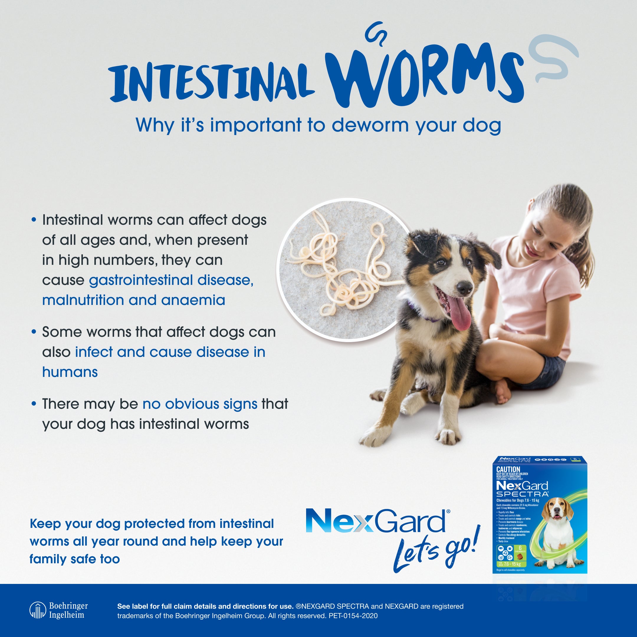 nexgard spectra very large dog intestinal worms