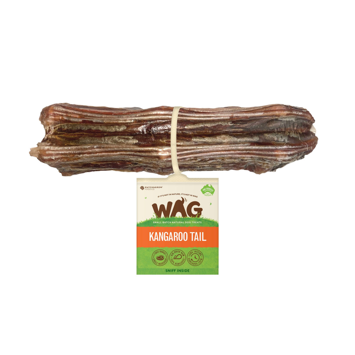 Kangaroo tail bone with WAG hang-tag, tied with string