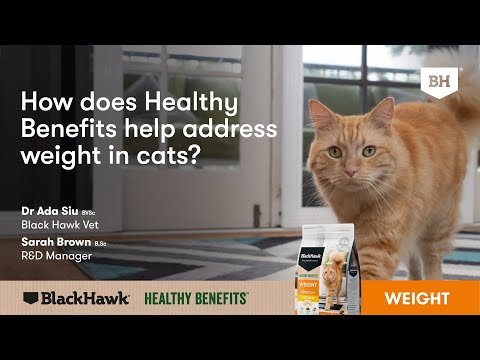 Black Hawk Healthy Benefits Adult Dry Cat Food Weight Management | PeekAPaw Pet Supplies