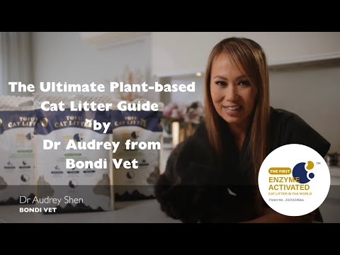 Tofu Cat Litter Australia Original Video1
