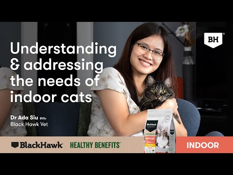 Black Hawk Healthy Benefits Adult Dry Cat Food indoor | PeekAPaw Pet Supplies