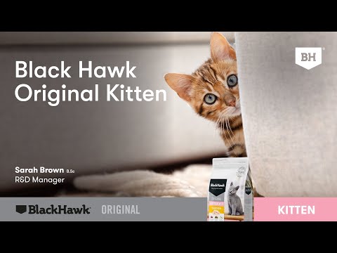 Black Hawk original Kitten Dry Cat Food Chicken | PeekAPaw Pet Supplies