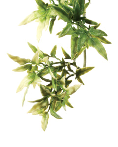Exo Terra Forest Plant Croton - Medium | PeekAPaw Pet Supplies