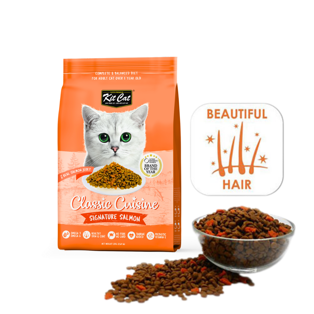 Kit Cat Signature Salmon dry cat food pack with kibble and healthy coat icon