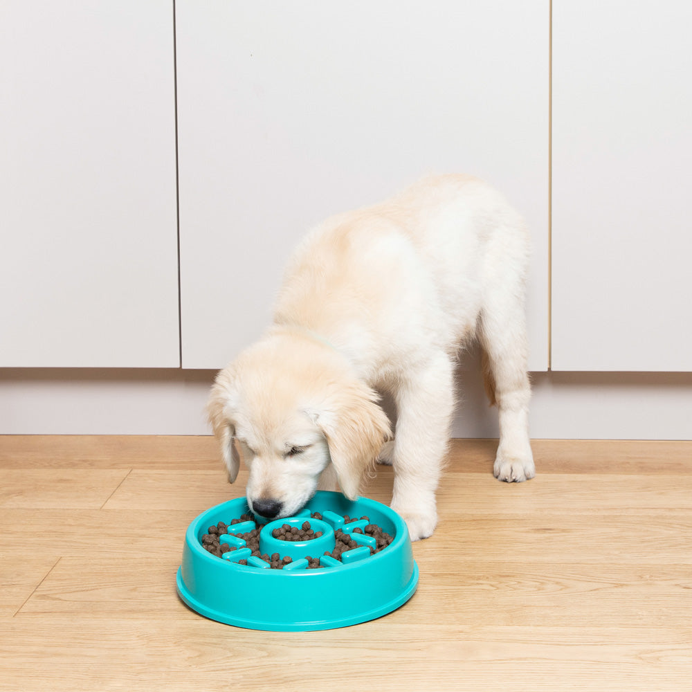 Zippy Paws Happy Bowl slow feeder features and sizing