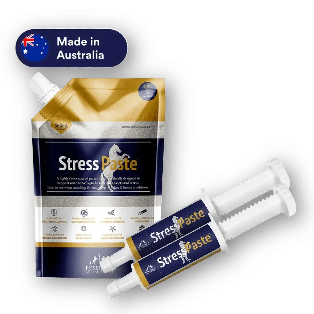 Poseidon Animal Health Stress Paste 60ml oral syringe for horses