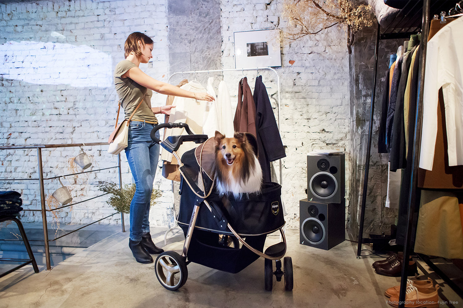 Ibiyaya Monarch Premium Pet Jogger Foldable Stroller Travel Carriage 09