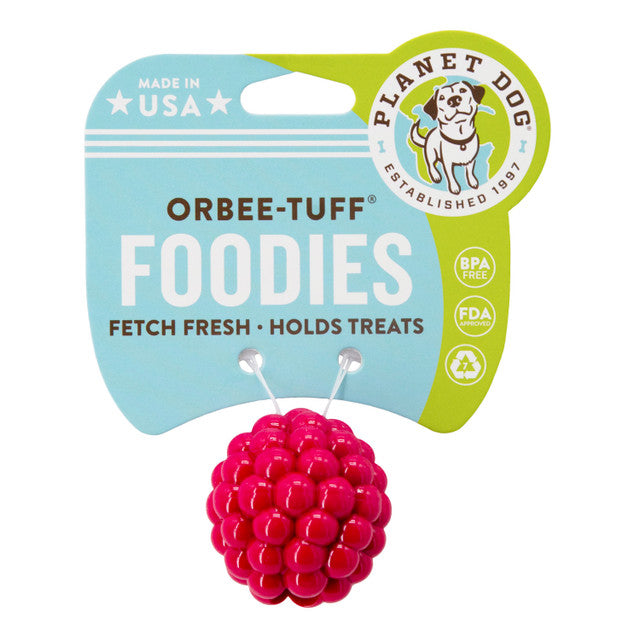 Planet Dog Orbee-Tuff Raspberry Treat-Dispensing Dog Toy