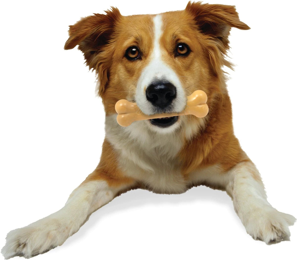 Nylabone Power Chew Durable Dog Toy Peanut Butter Flavor