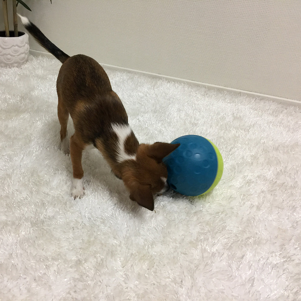 Nina Ottosson Dog Treat Tumble Small - Level 1