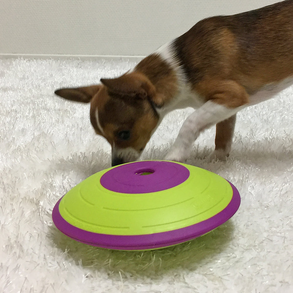 Nina Ottosson Dog Treat Maze - Level 2
