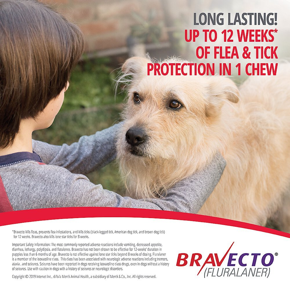 Bravecto Dog Chew Purple 40-56kg 1 Tablet | PeekAPaw Pet Supplies