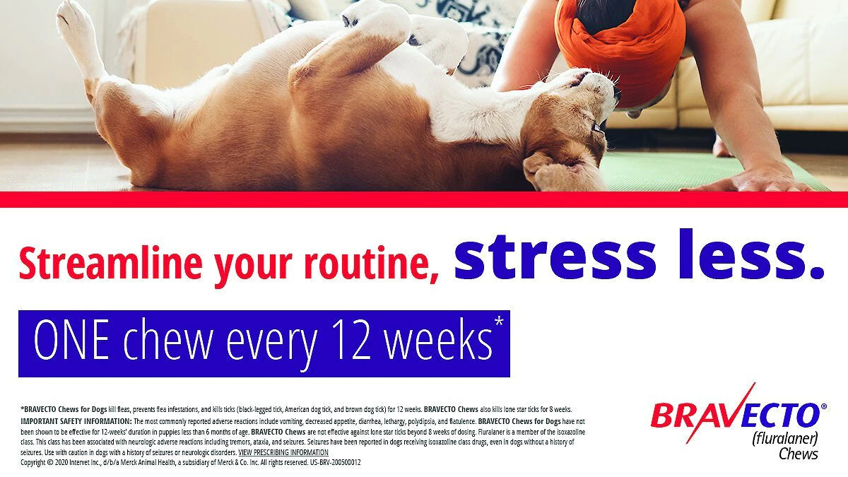 Bravecto Dog Chew Green 10-20kg 03