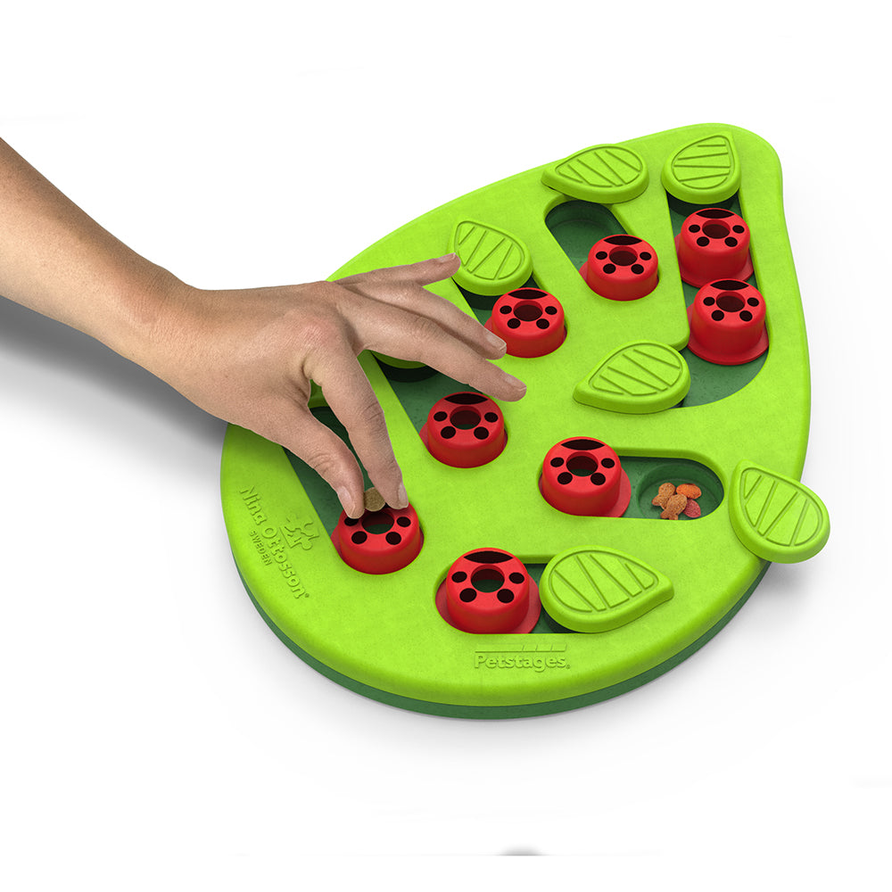 Nina Ottosson Cat Buggin Out Puzzle & Play - Level 2